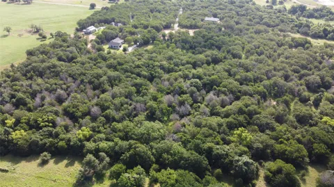 277 County Road 4461