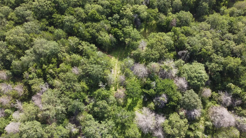 277 County Road 4461 Decatur, TX 76234