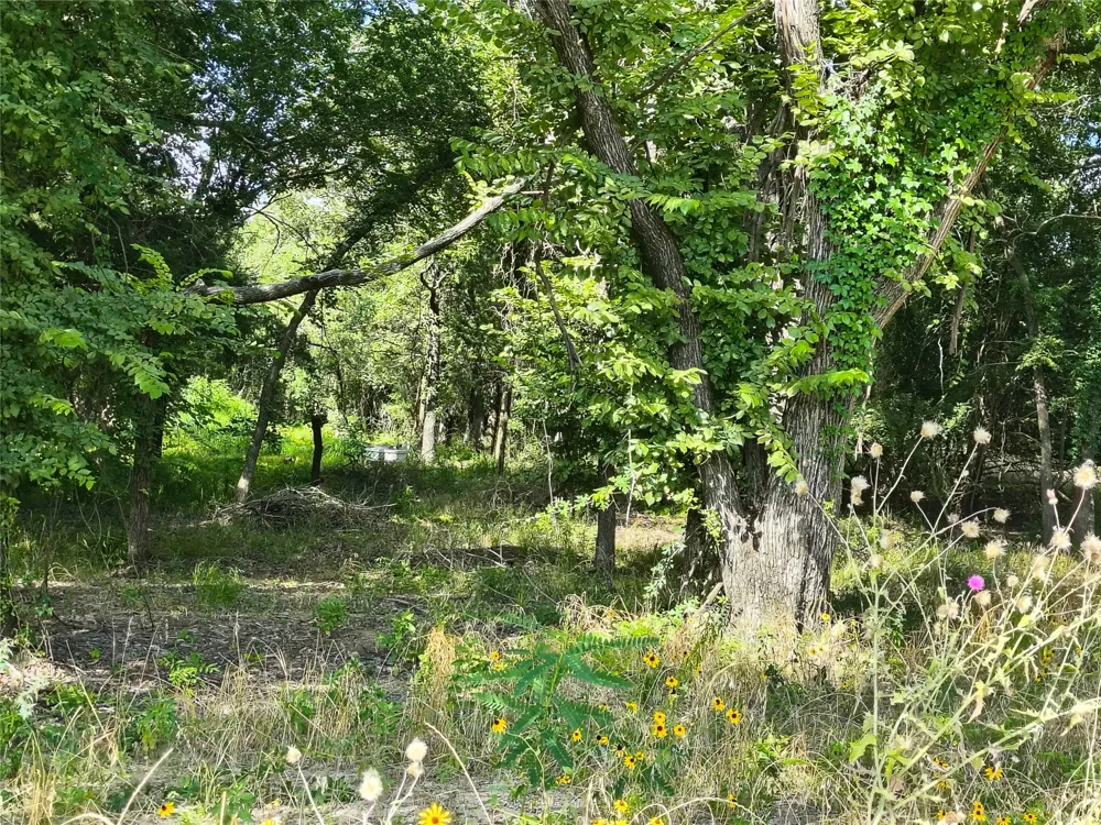 277 County Road 4461 Decatur, TX 76234