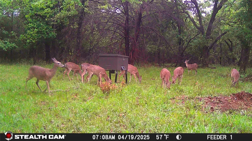 277 County Road 4461 Decatur, TX 76234