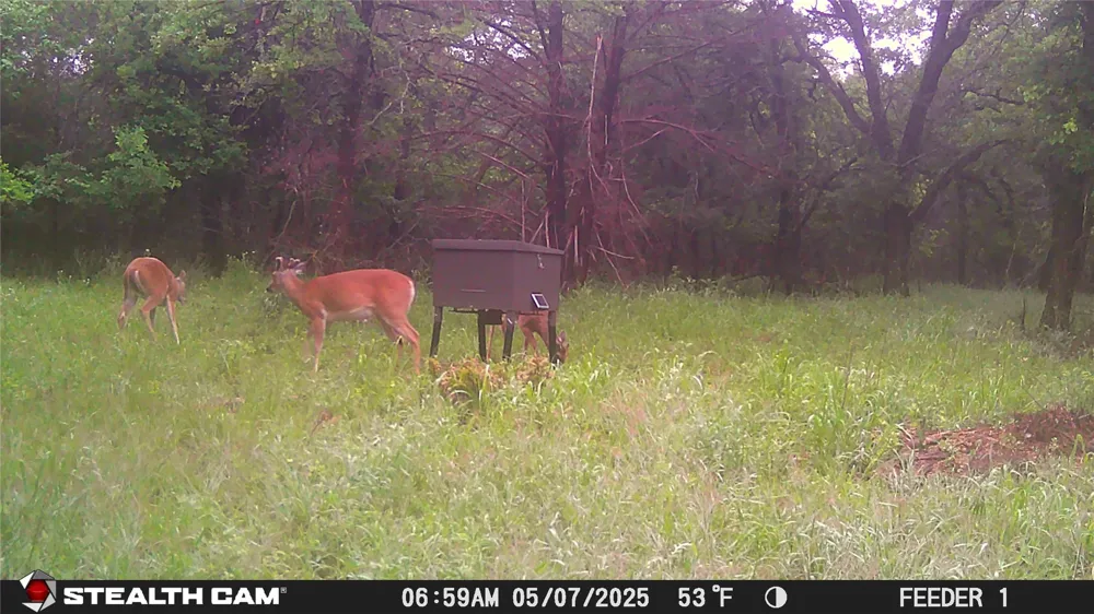 277 County Road 4461 Decatur, TX 76234