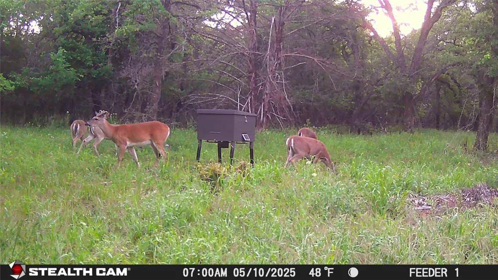 277 County Road 4461 Decatur, TX 76234