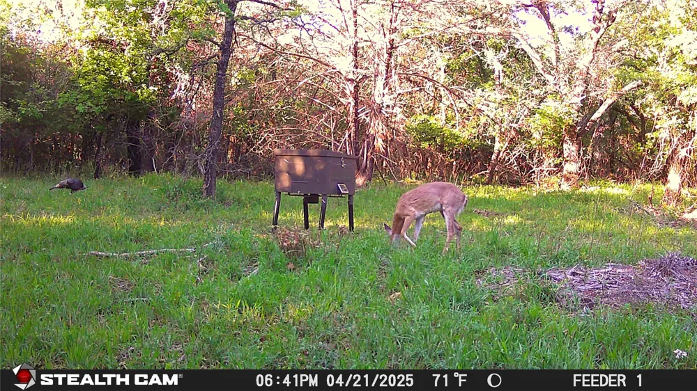 277 County Road 4461 Decatur, TX 76234