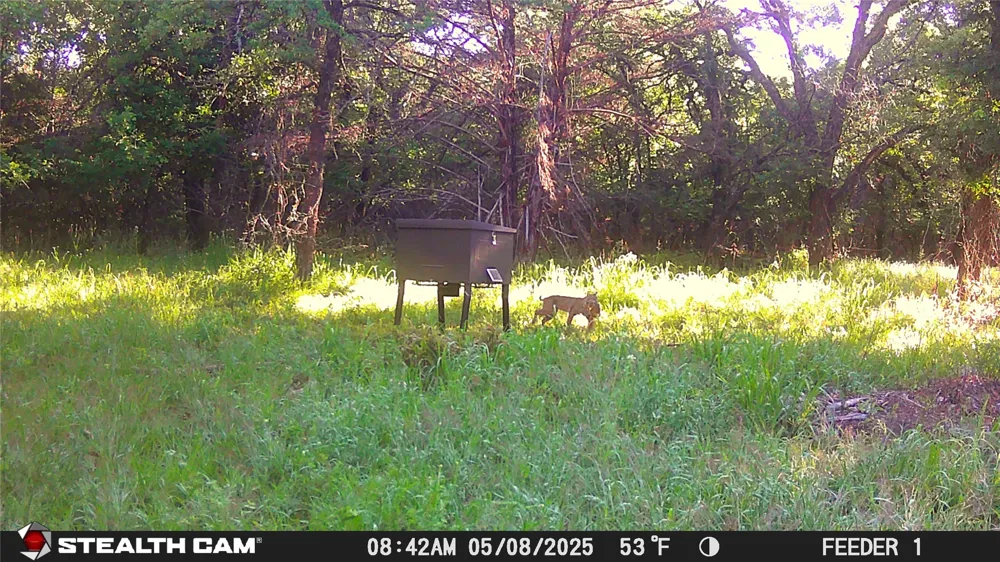277 County Road 4461 Decatur, TX 76234