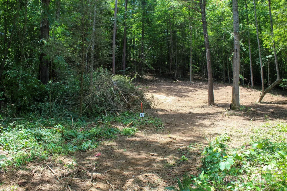 9999 Gabriels Creek Road #42 Mars Hill, NC 28754