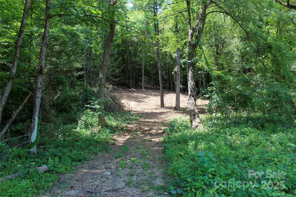 9999 Gabriels Creek Road #42 Mars Hill, NC 28754