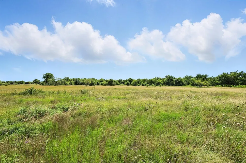 Longview Creek Trail Itasca, TX 76055