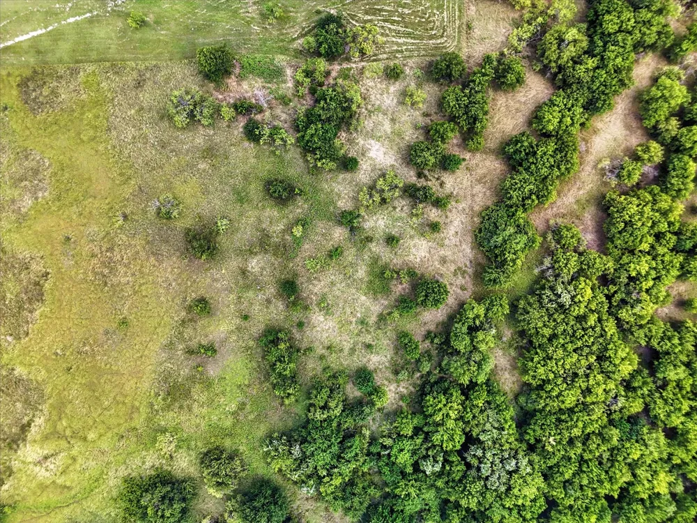 Longview Creek Trail Itasca, TX 76055