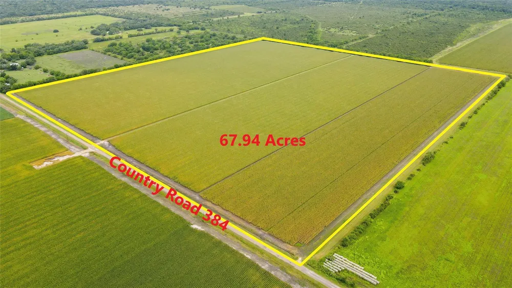 County Road 384 Louise, TX 77455