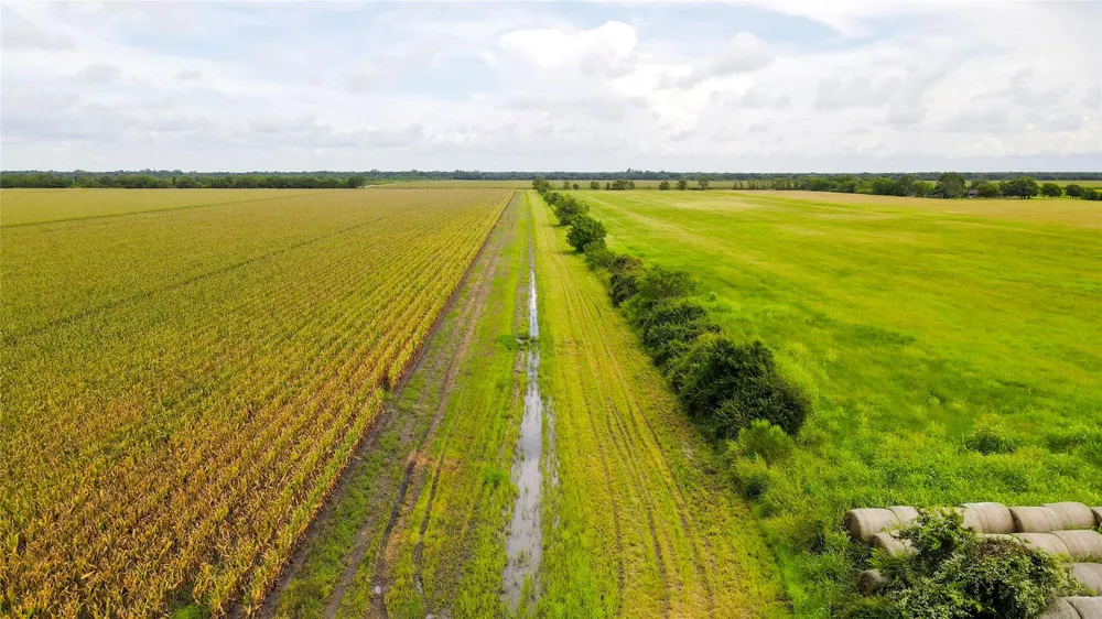 County Road 384 Louise, TX 77455