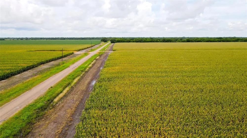 County Road 384 Louise, TX 77455