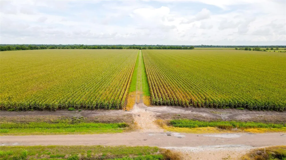 County Road 384 Louise, TX 77455