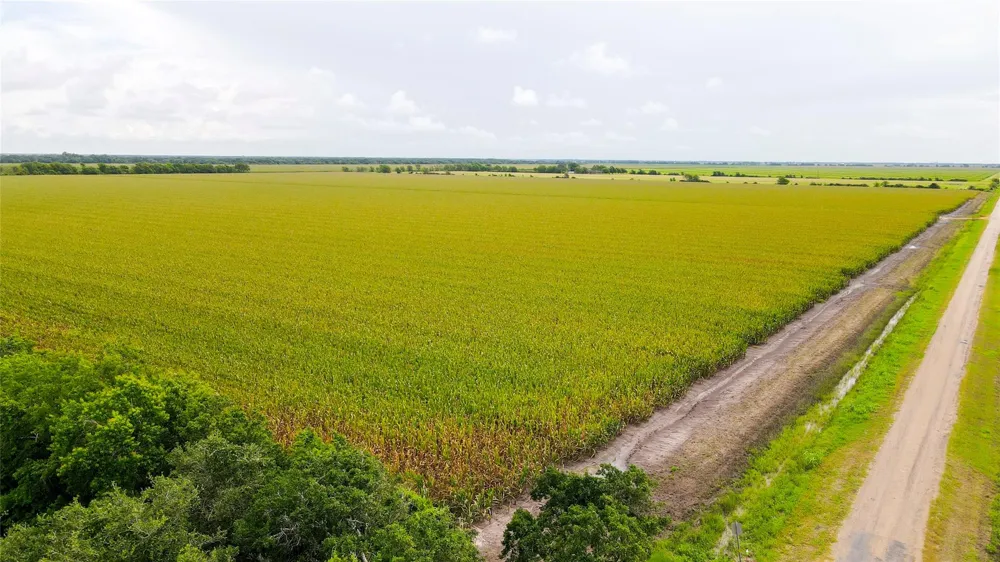 County Road 384 Louise, TX 77455