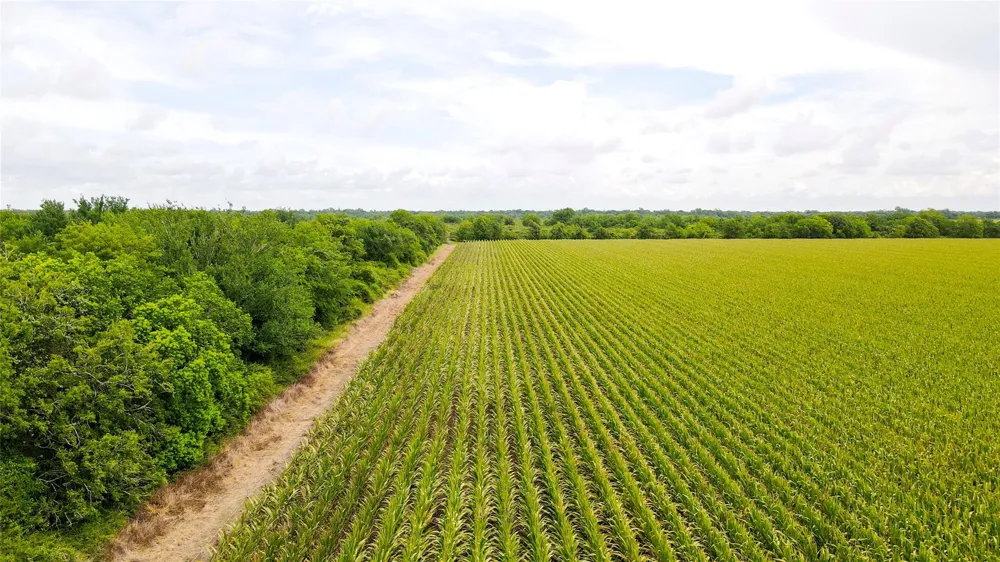 County Road 384 Louise, TX 77455