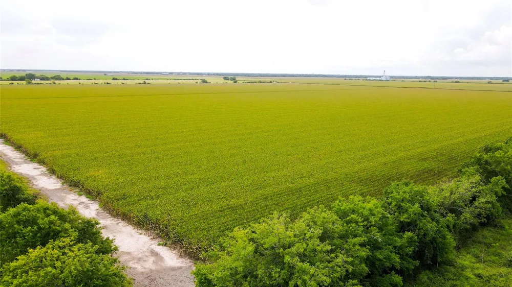 County Road 384 Louise, TX 77455