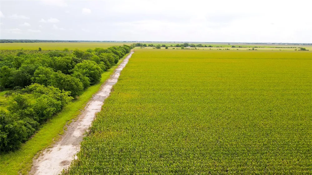 County Road 384 Louise, TX 77455