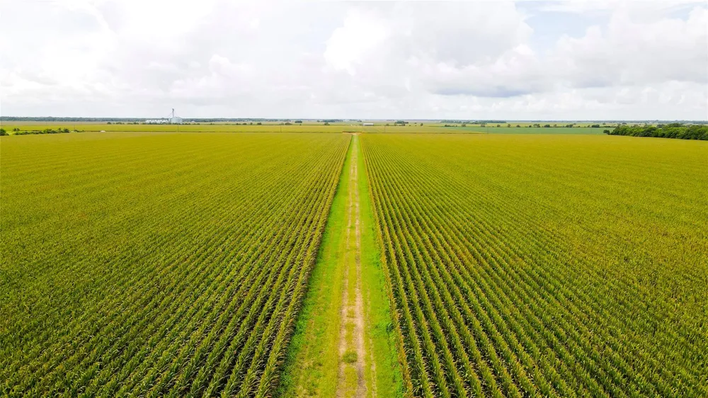 County Road 384 Louise, TX 77455