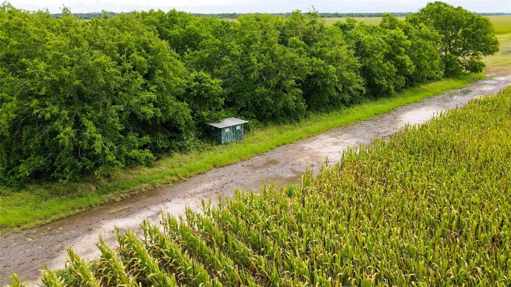 County Road 384 Louise, TX 77455