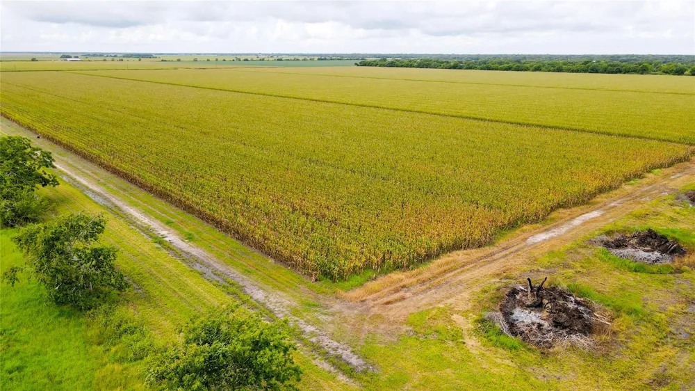 County Road 384 Louise, TX 77455
