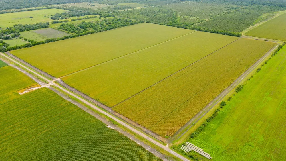 County Road 384 Louise, TX 77455