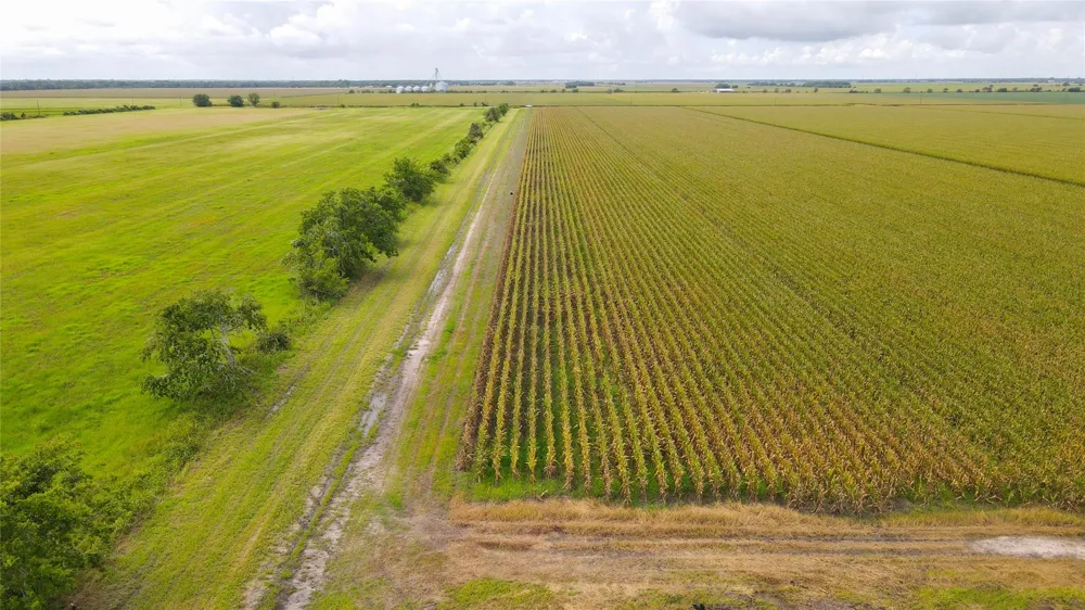 County Road 384 Louise, TX 77455