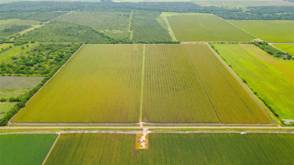 County Road 384 Louise, TX 77455