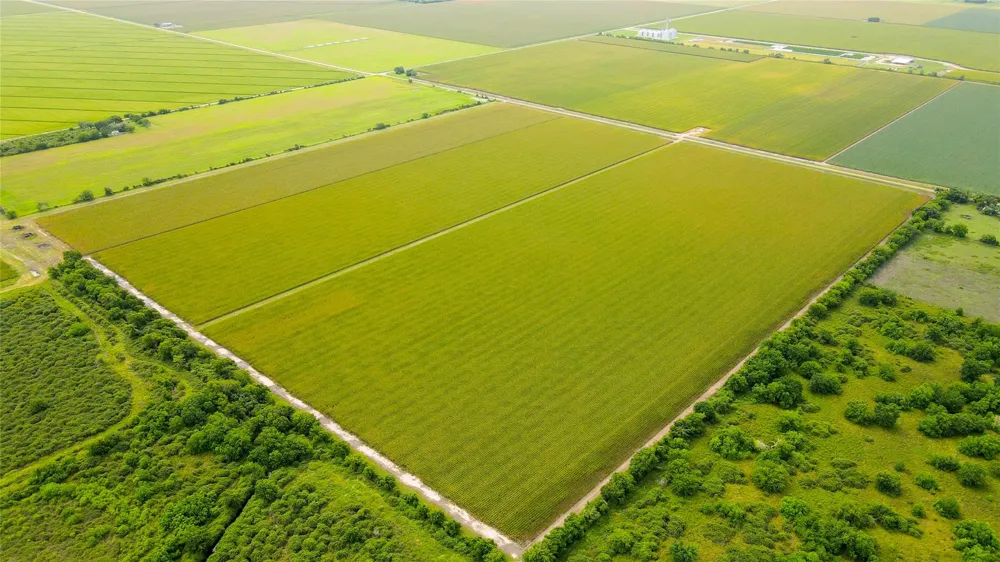 County Road 384 Louise, TX 77455
