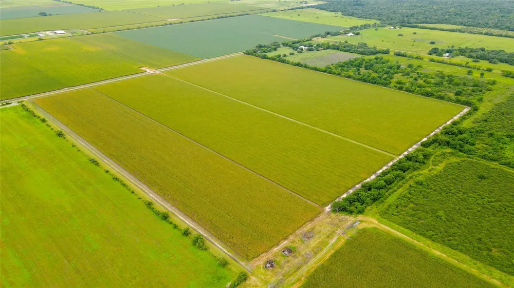 County Road 384 Louise, TX 77455