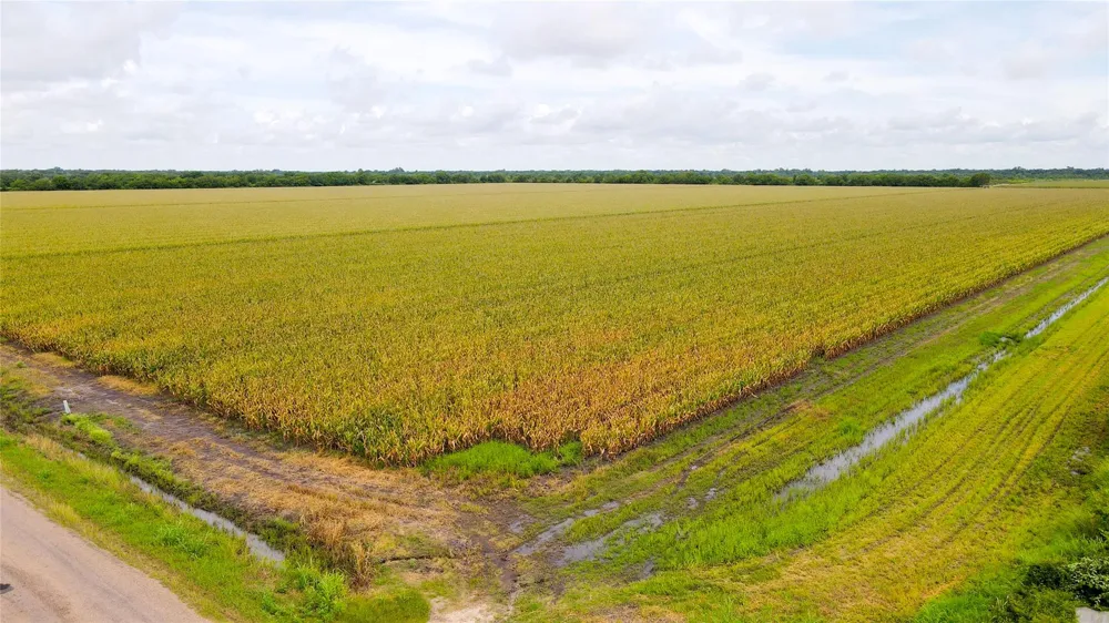 County Road 384 Louise, TX 77455