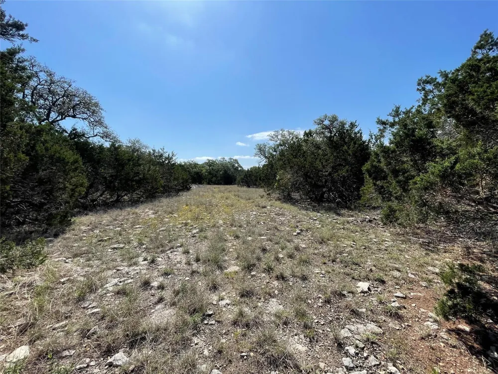 1117 Madrone Fischer, TX 78623