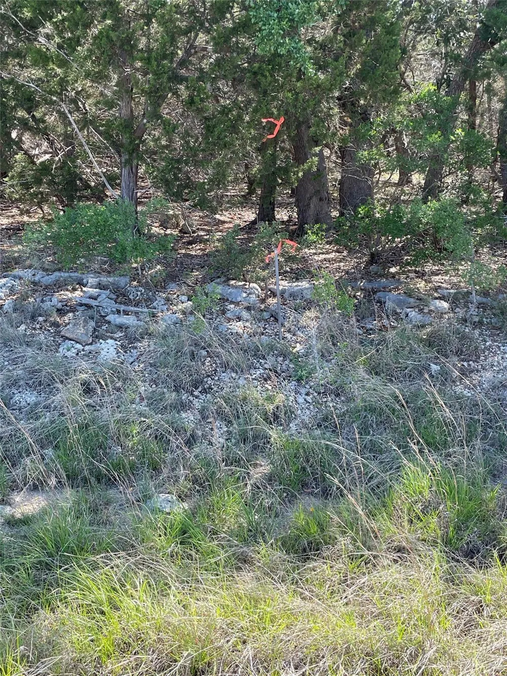 1117 Madrone Fischer, TX 78623