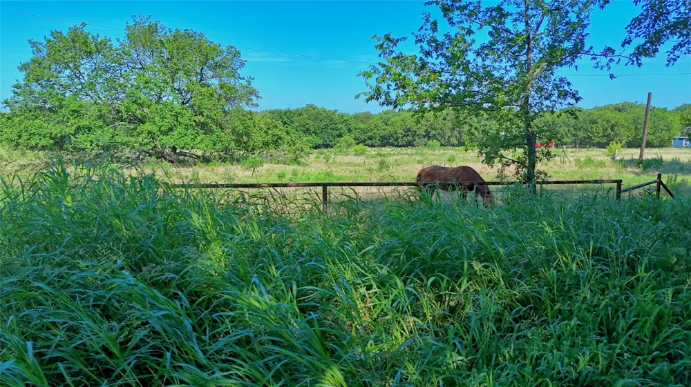 Fleming Street St Jo, TX 76265