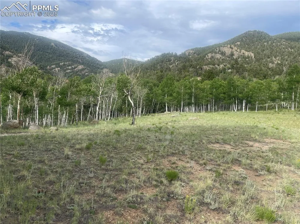 171 Emerald Way Lake George, CO 80827