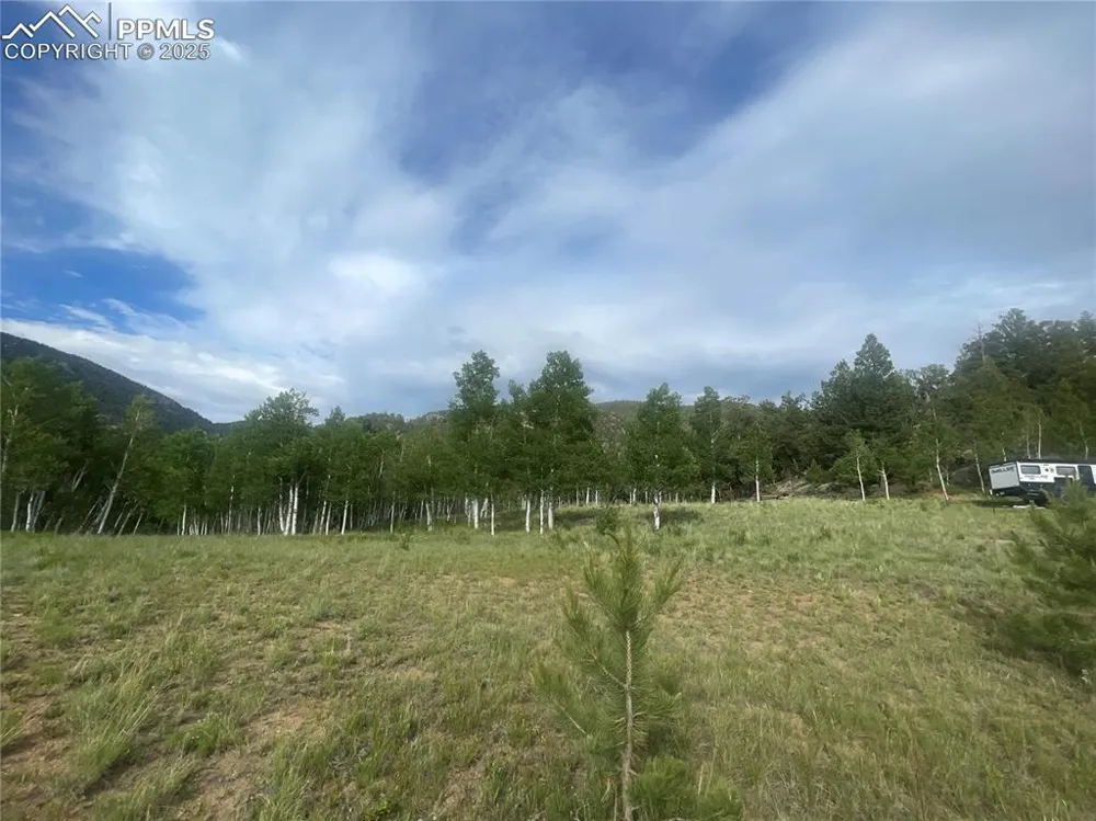 171 Emerald Way Lake George, CO 80827