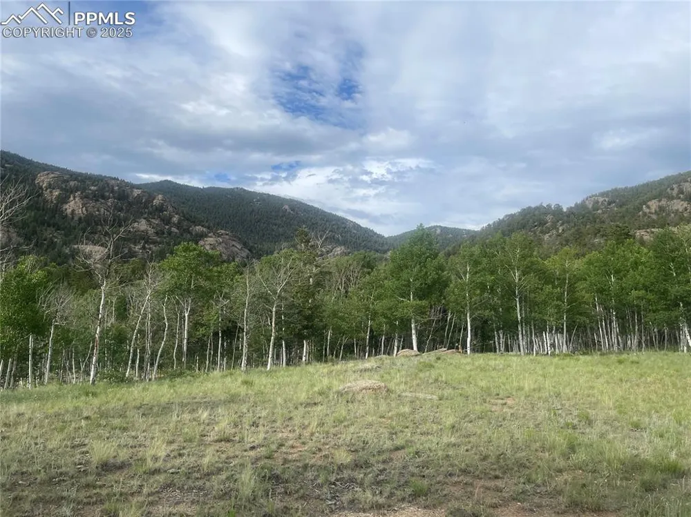 171 Emerald Way Lake George, CO 80827