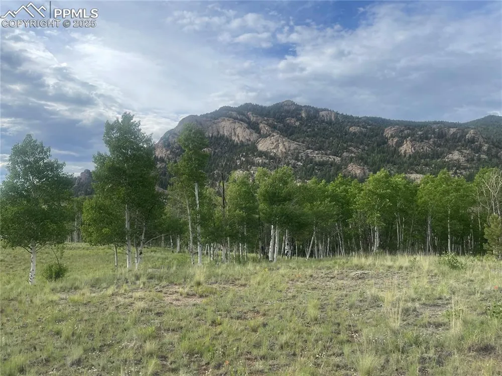 171 Emerald Way Lake George, CO 80827