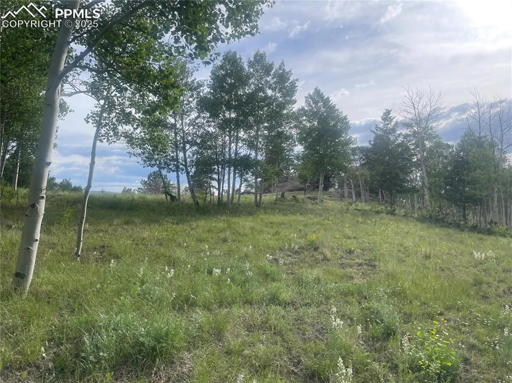 171 Emerald Way Lake George, CO 80827