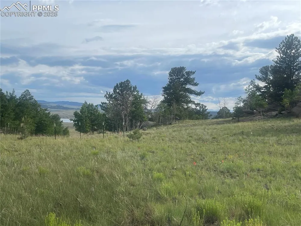 171 Emerald Way Lake George, CO 80827