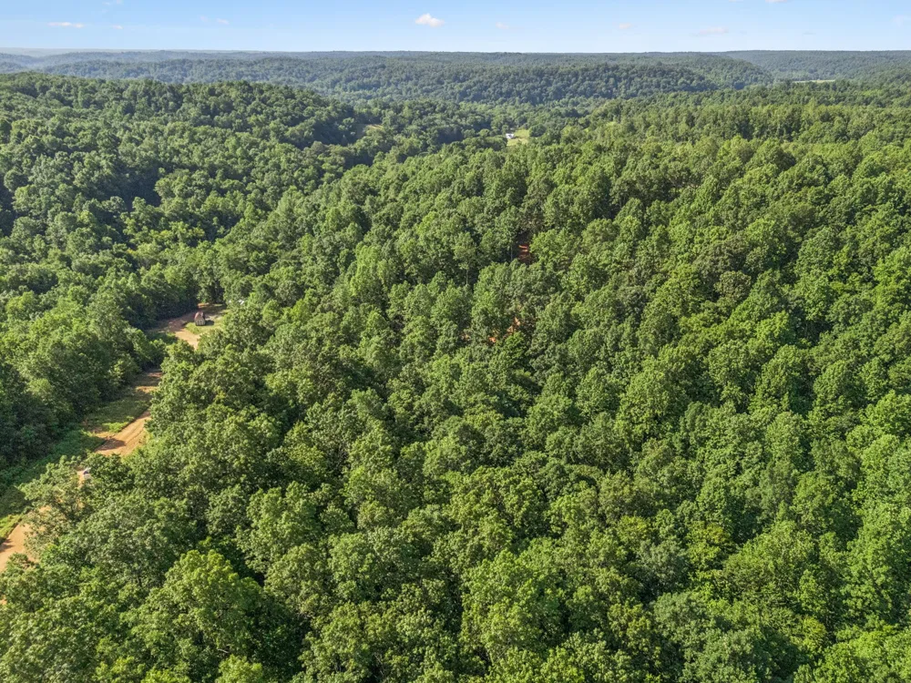 220 Ellies Run Mount Pleasant, TN 38474