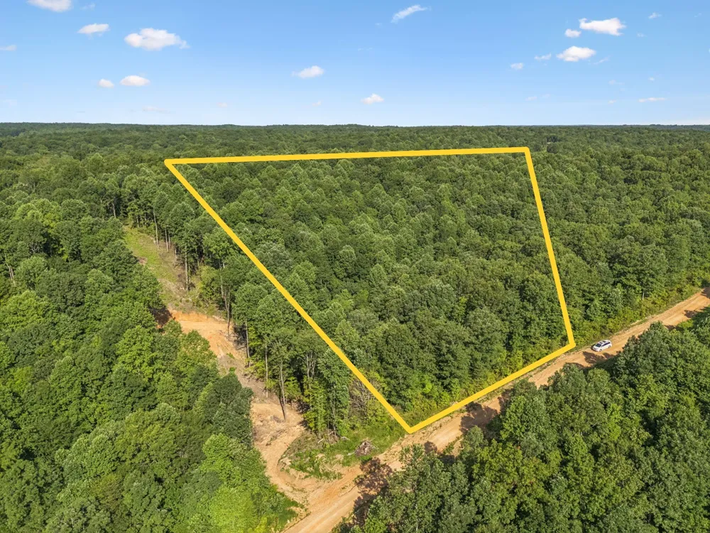 220 Ellies Run Mount Pleasant, TN 38474
