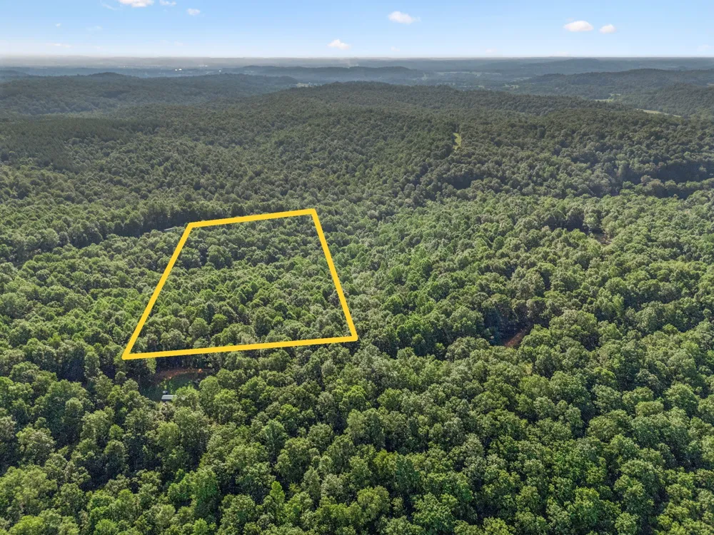 220 Ellies Run Mount Pleasant, TN 38474