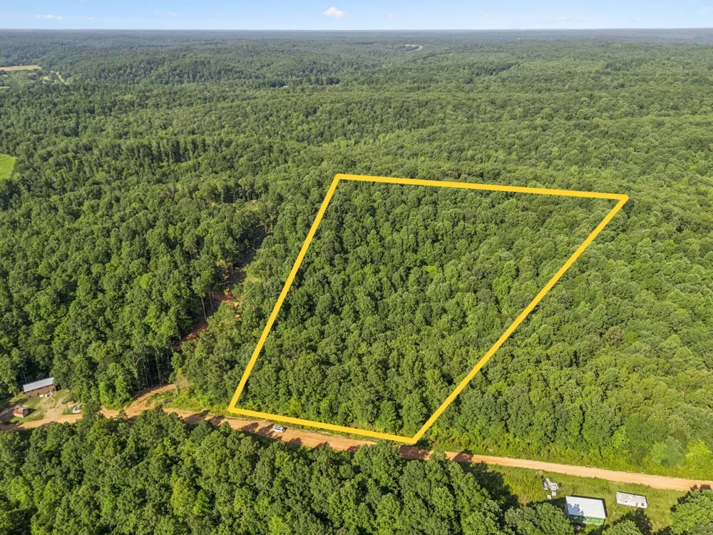 220 Ellies Run Mount Pleasant, TN 38474