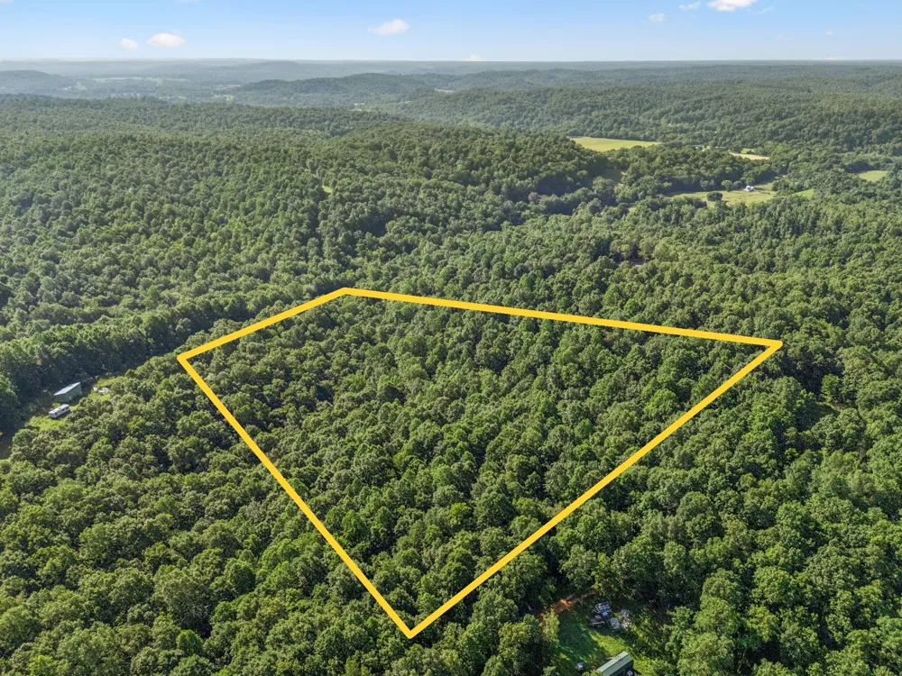 220 Ellies Run Mount Pleasant, TN 38474