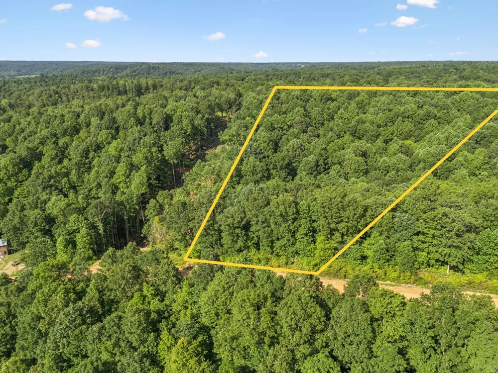 220 Ellies Run Mount Pleasant, TN 38474