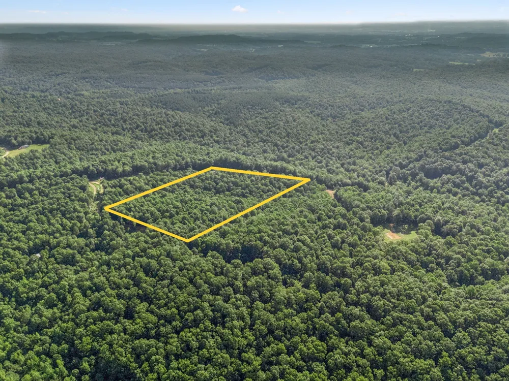 220 Ellies Run Mount Pleasant, TN 38474