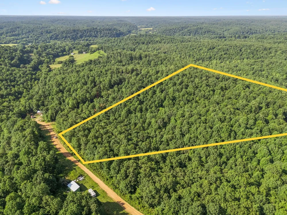 220 Ellies Run Mount Pleasant, TN 38474