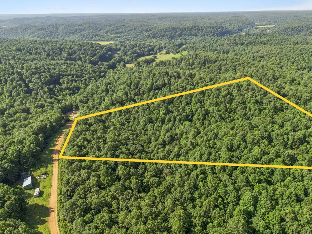 220 Ellies Run Mount Pleasant, TN 38474
