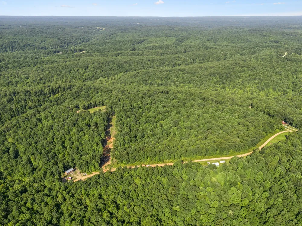 220 Ellies Run Mount Pleasant, TN 38474