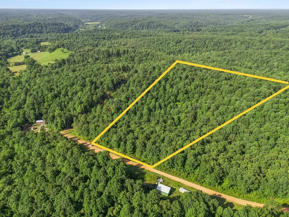 220 Ellies Run Mount Pleasant, TN 38474