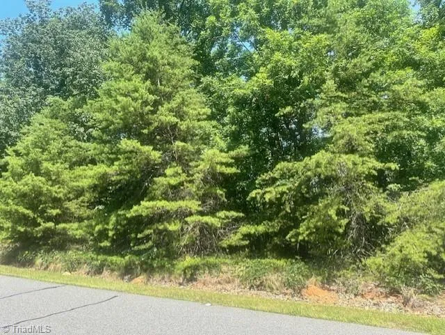 1953 Sierra Trace Road Denton, NC 27239